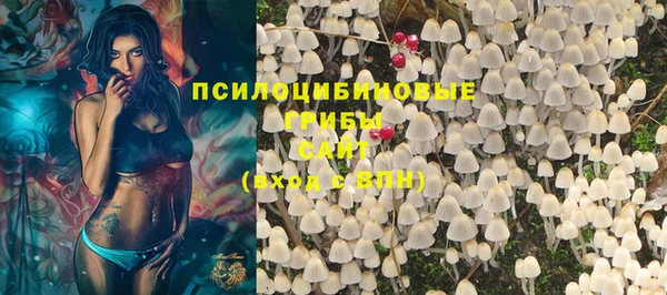 соль ск Нязепетровск