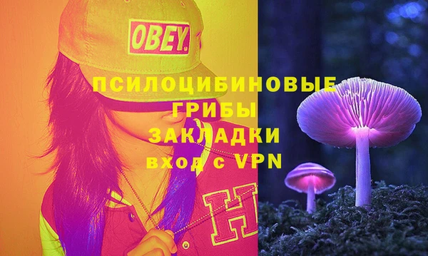 СК Осинники