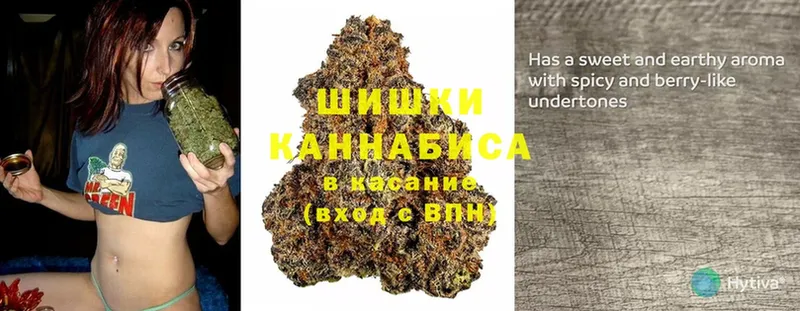 Бошки марихуана Bruce Banner  KRAKEN tor  Карабаново 